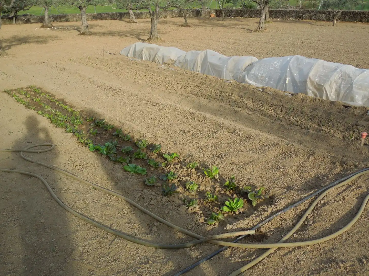 Jardín de Terreno en venta en Malpartida de Plasencia
