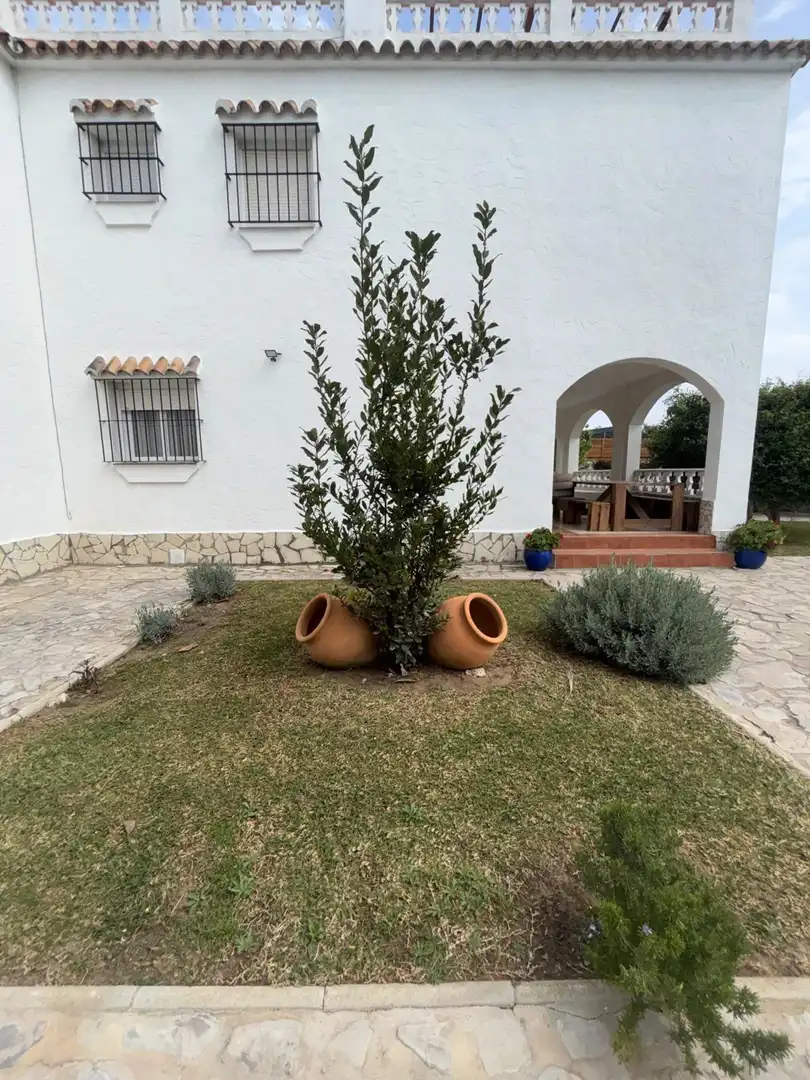 Jardí de Finca rústica en venda en Barbate amb Jardí privat, Terrassa i Traster
