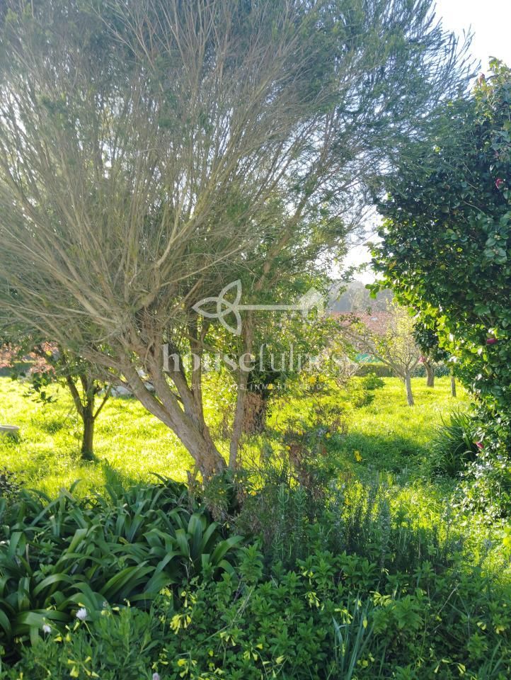 House or chalet for sale in Ferrol  with Private garden, Storage room and Furnished