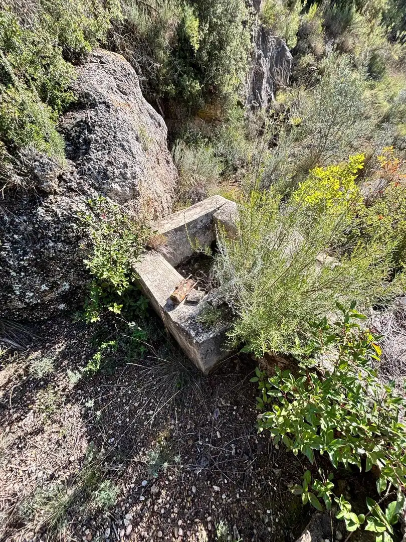 Exterior view of Land for sale in La Palma d'Ebre
