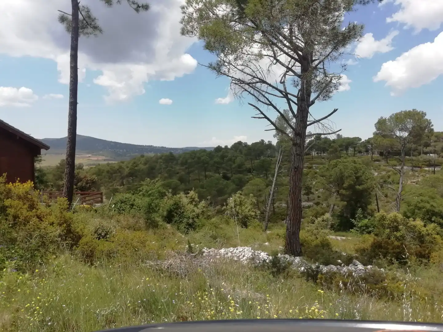 Residential land for sale in Mediona, imagen 15