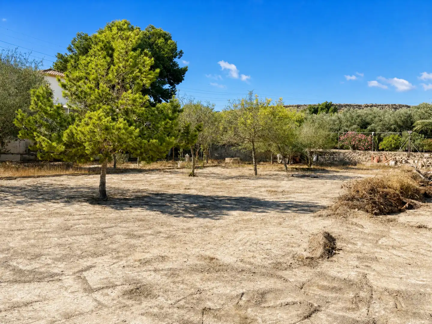 Chalet con piscina en venta en Partidas de Alicante, imagen 18