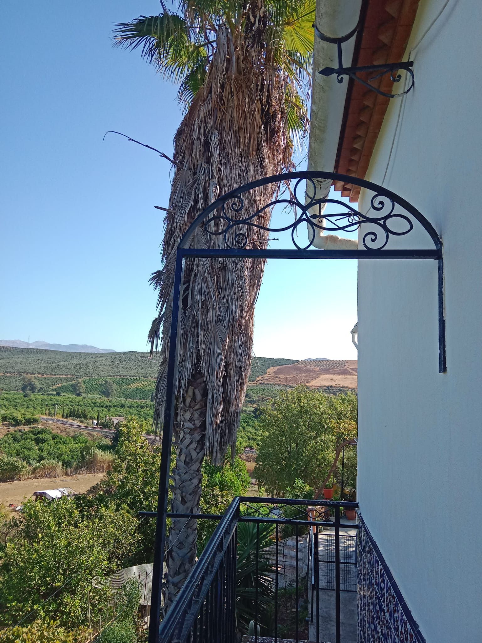 Exterior view of House or chalet for sale in Álora  with Private garden and Swimming Pool