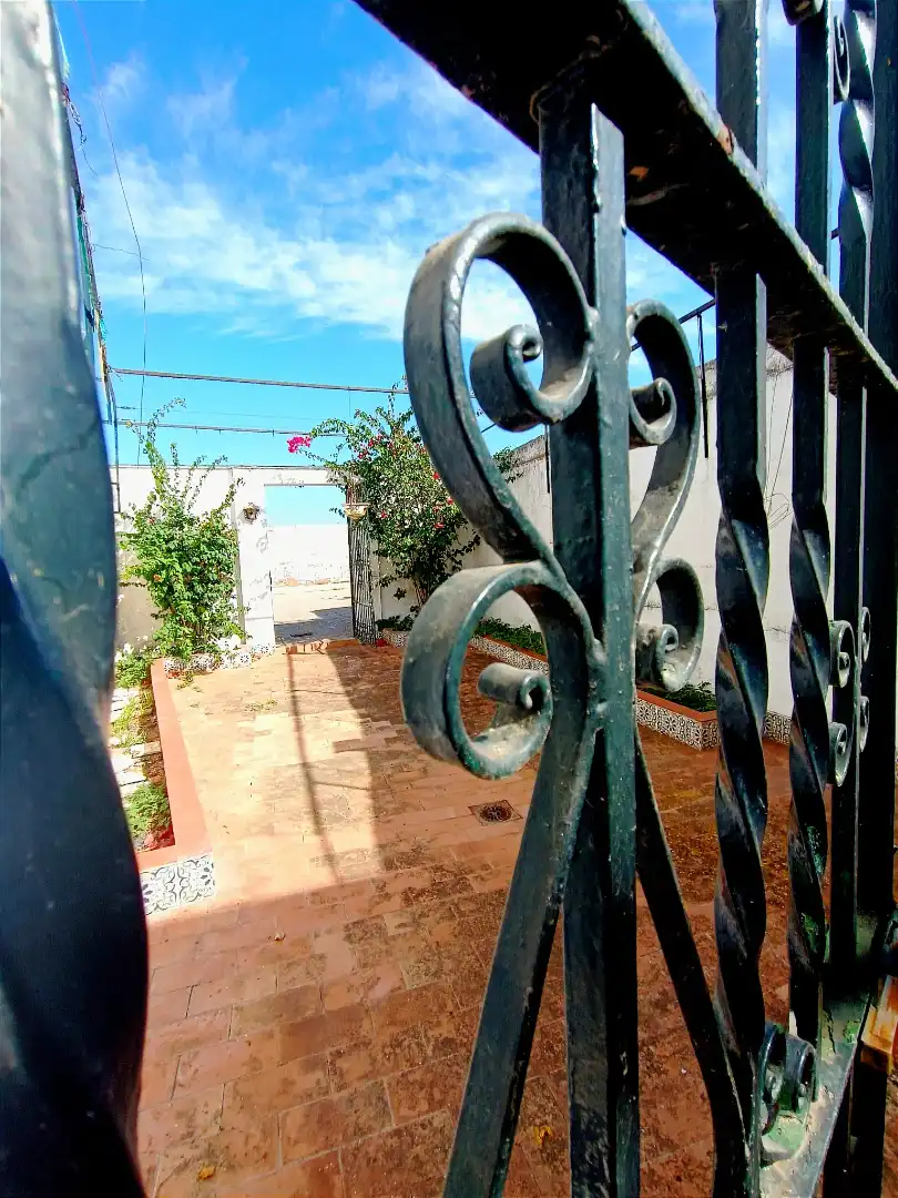 Garden of Detached homes for sale in Colegio Europa
