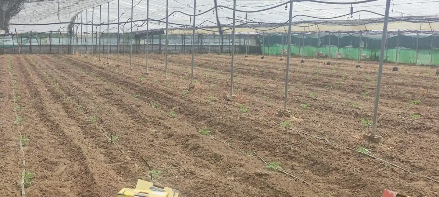Terreni e lotti in vendita a De La Reyerta, imagen 2