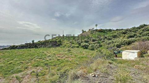 Foto 4 de Terreny en venda a Camino Zarzaparrilla - Fuente de Ariza, 183, Algarrobo pueblo, Málaga