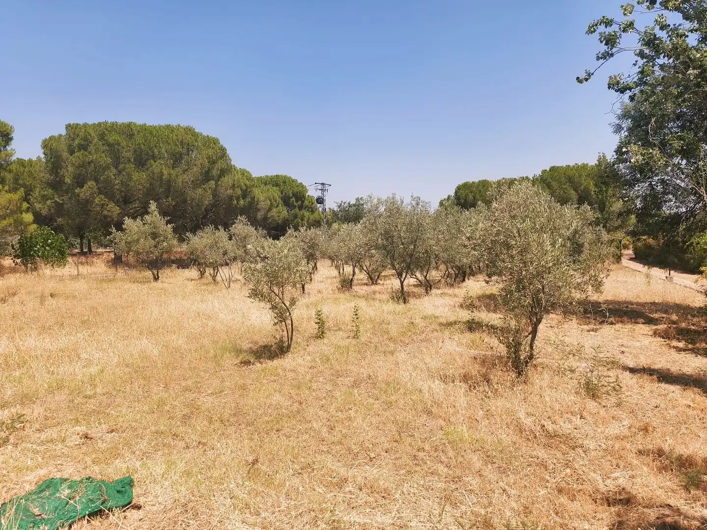 Casa o xalet en venda en Brazatortas amb Aire condicionat, Calefacció i Jardí privat