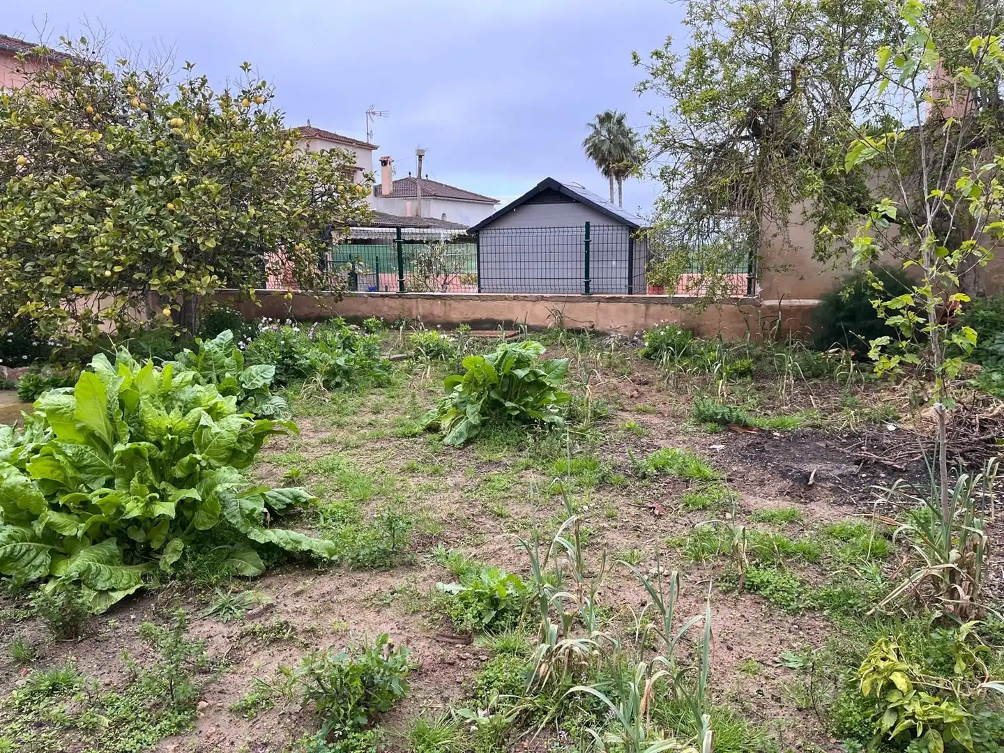 Casa o xalet en venda en  Palma de Mallorca