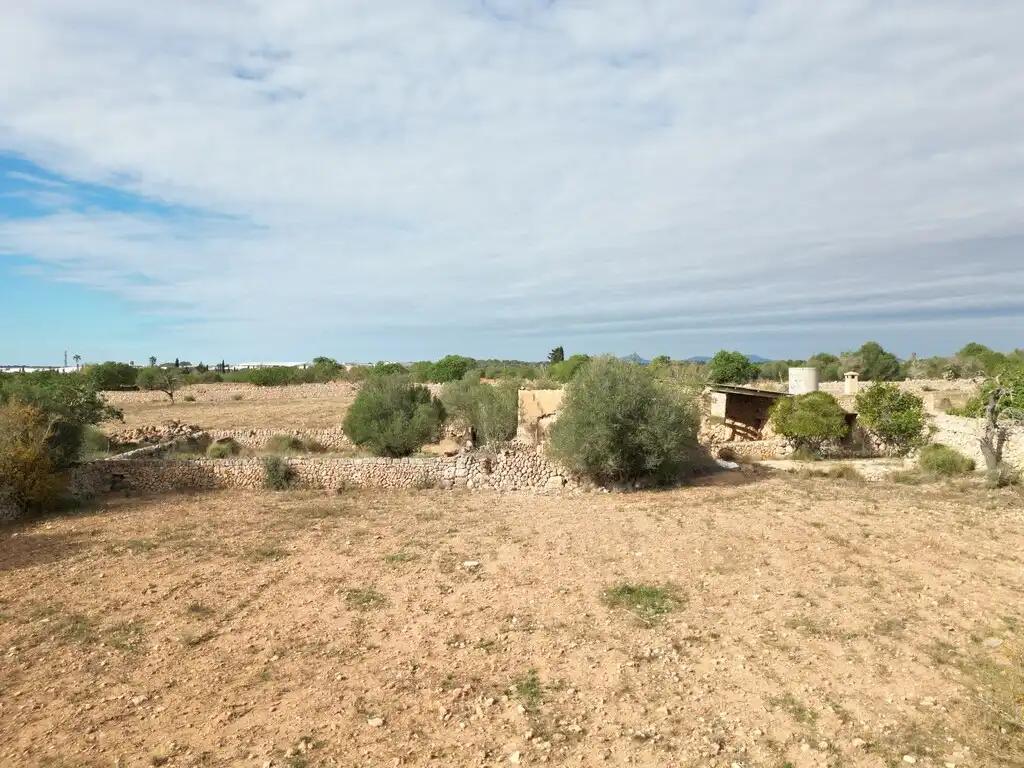 Terreno rustico in vendita a Llucmajor pueblo, imagen 6