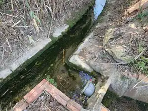 Terreno rustico in vendita a Avinguda de Reus 10, imagen 5