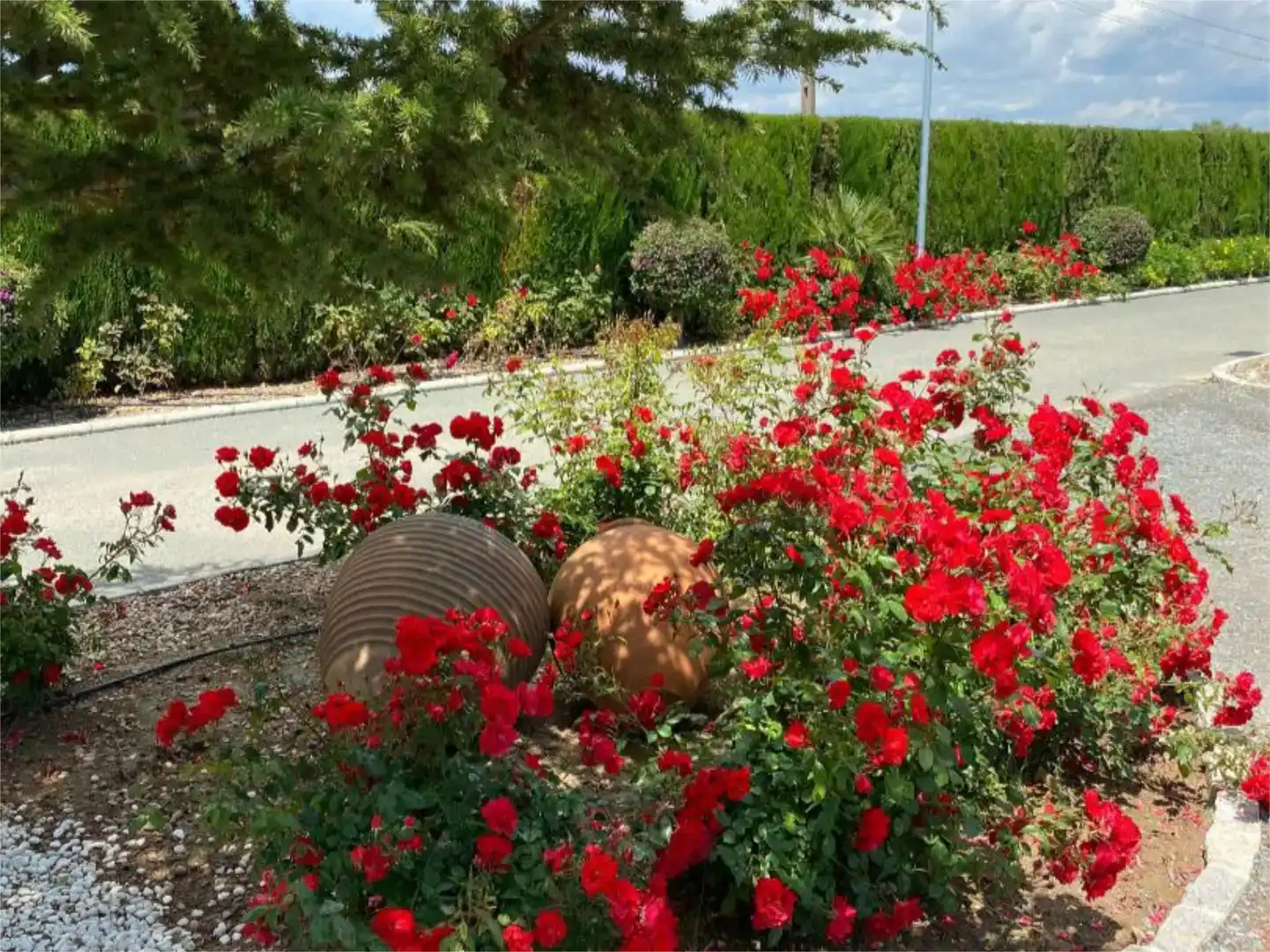 Jardí de Pis en venda en Rinconada