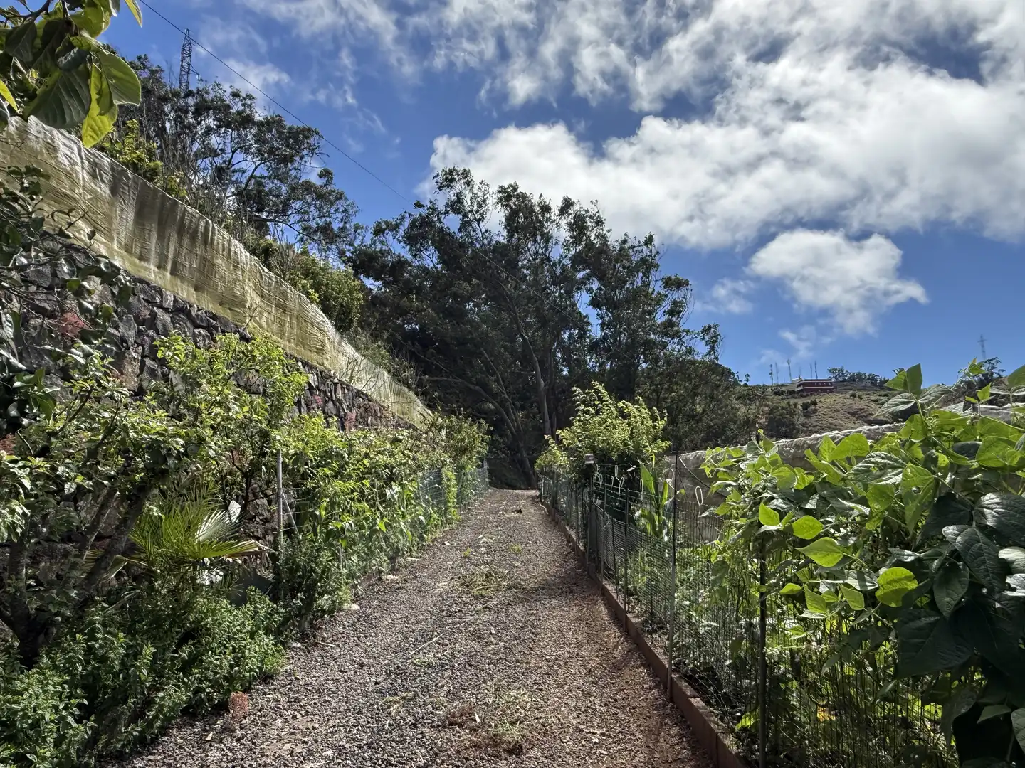 Rural land for sale in Tegueste, imagen 6