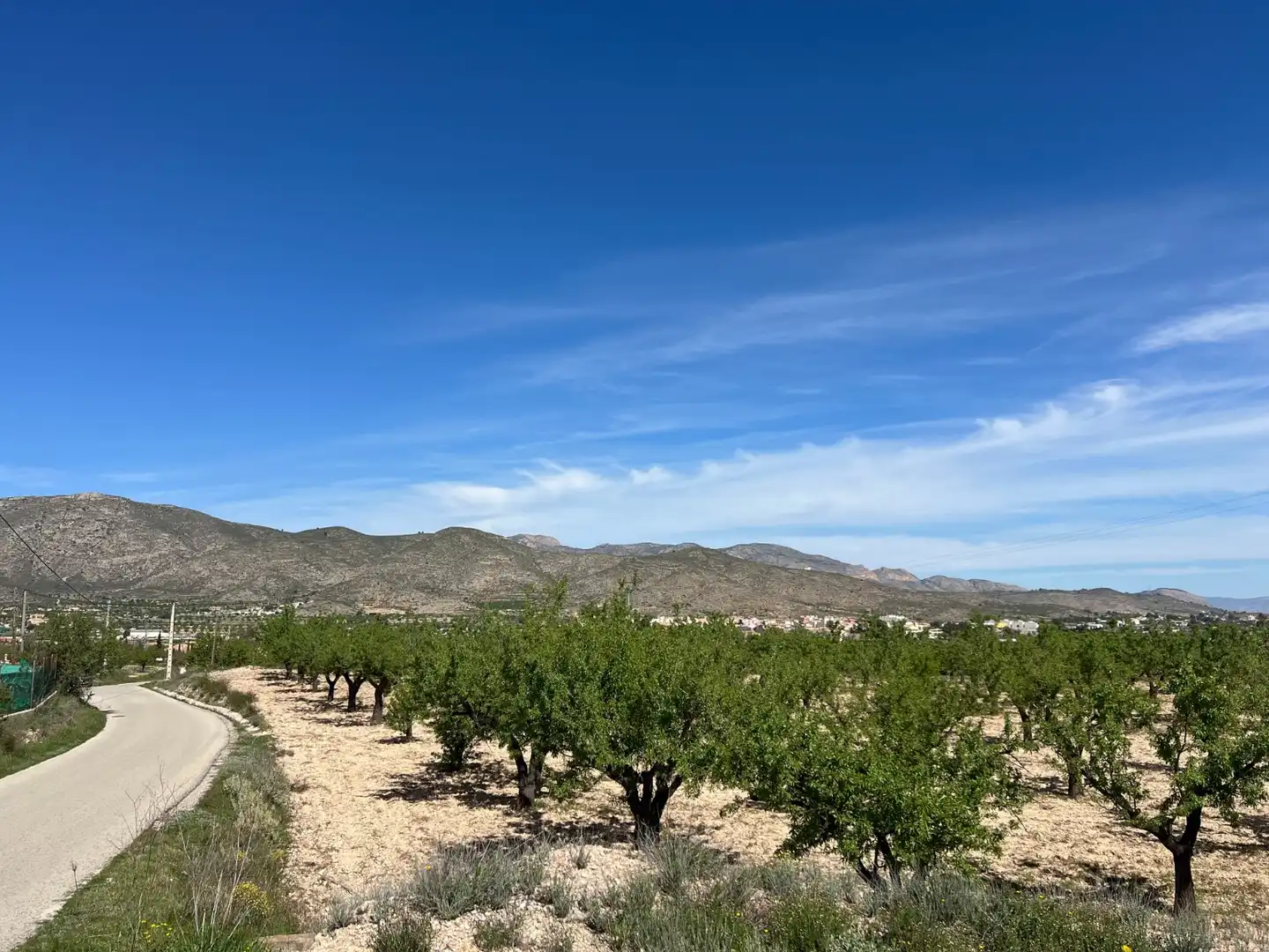 Residential land for sale in Hondón de los Frailes, imagen 4