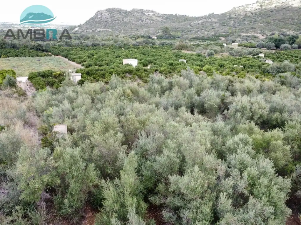 Rural land for sale in Pego, imagen 3
