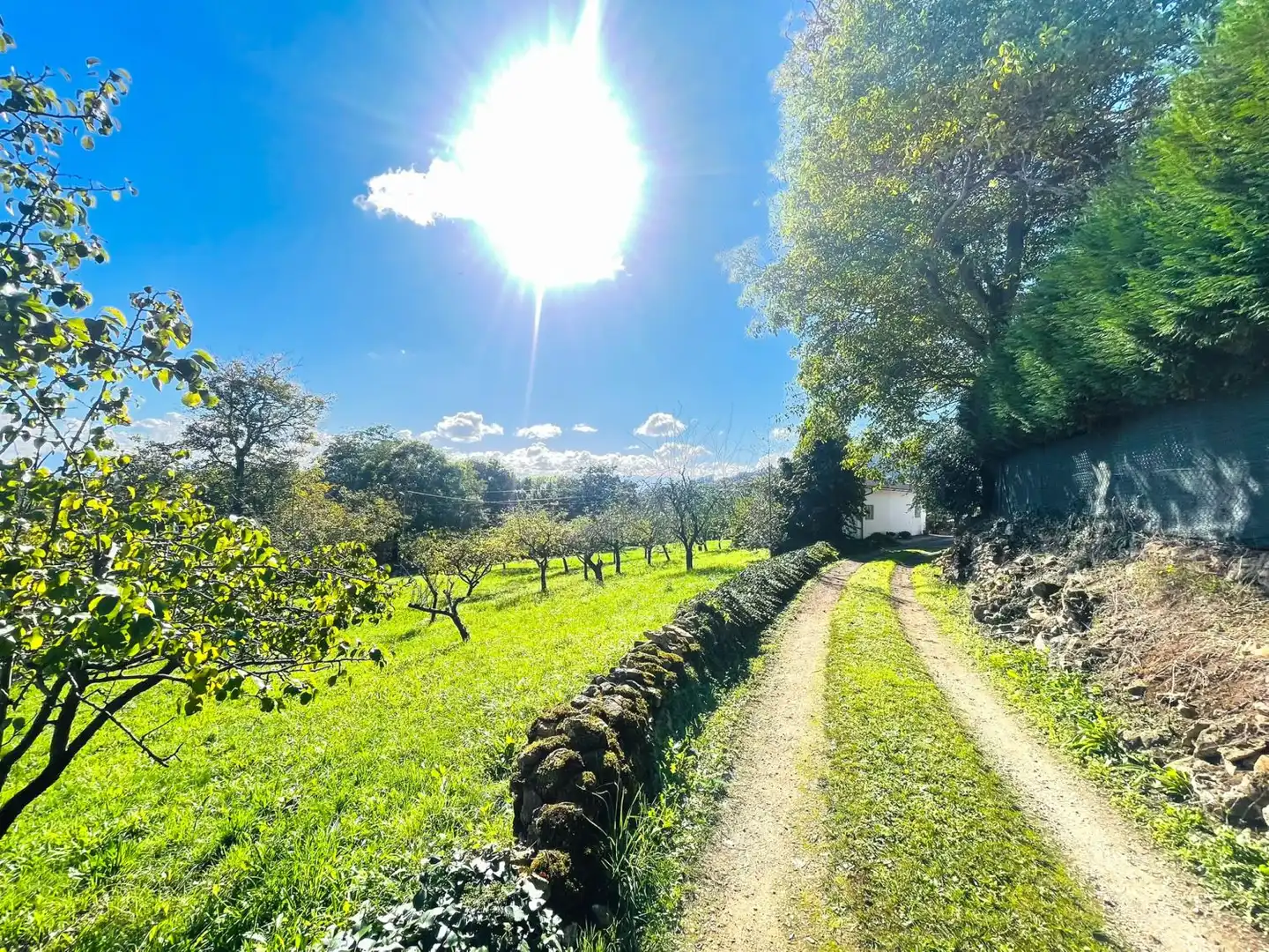 Vista exterior de Casa o xalet en venda en Llanera amb Traster