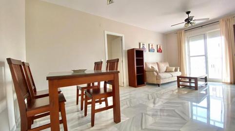 Foto 5 de Apartament per a compartir a Pago San José - Princi - Jerez, Jerez de la Frontera