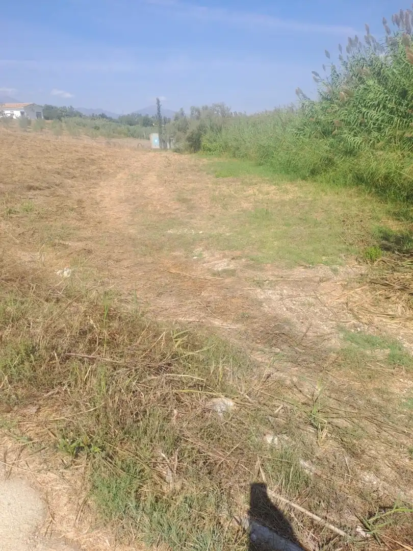 Terreno rustico in vendita a carretera coin, imagen 8