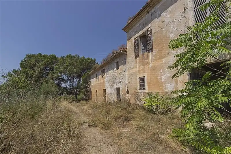 Exterior view of Country homes for sale in Manacor  with Private garden and Terrace