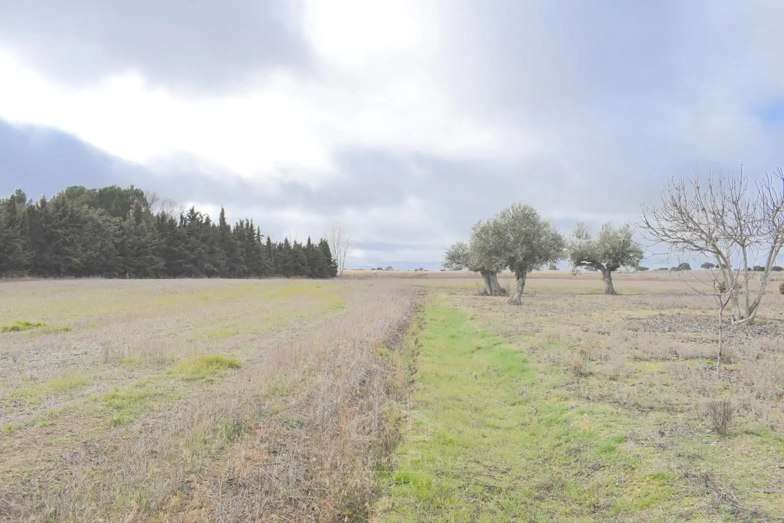 Casa o xalet en venda en La Fuente de San Esteban  amb Calefacció, Terrassa i Traster