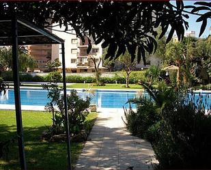 Swimming pool of Flat to rent in Fuengirola  with Terrace and Swimming Pool