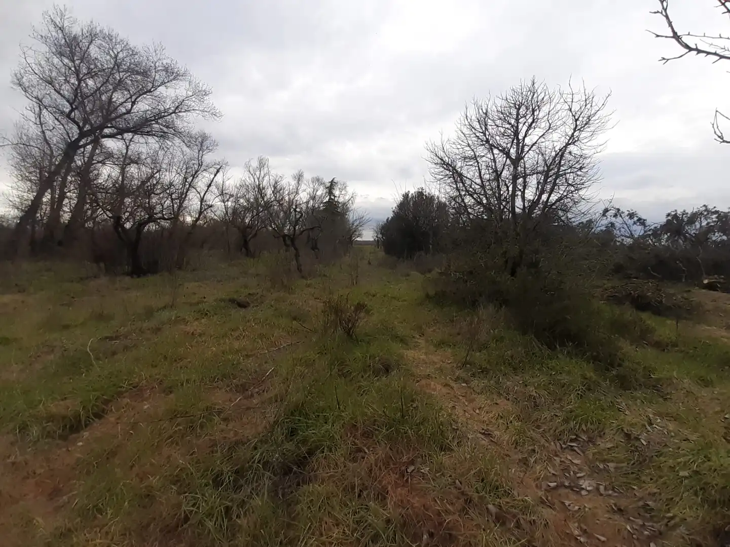 Terreni e lotti in vendita a Fresno de la Ribera, imagen 6