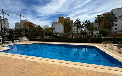 Piscina de Apartament en venda en Torrevieja amb Terrassa i Piscina comunitària