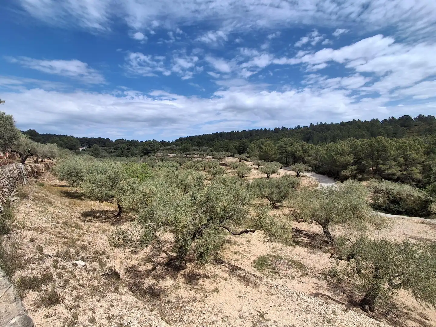 Terreno rustico in vendita a El Perelló, imagen 45