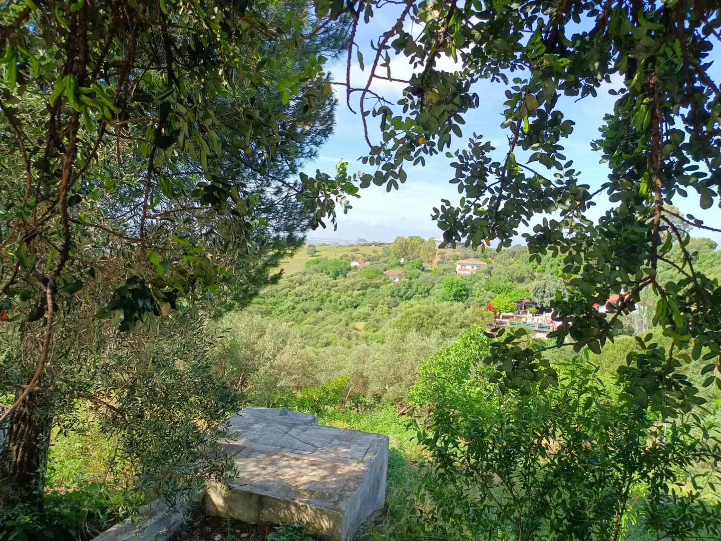 Maison rustique à vendre à Almodóvar del Río, imagen 5