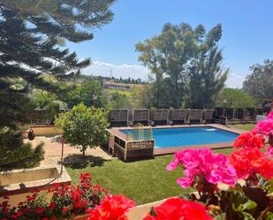 Swimming pool of House or chalet to rent in Alcalá de Guadaira