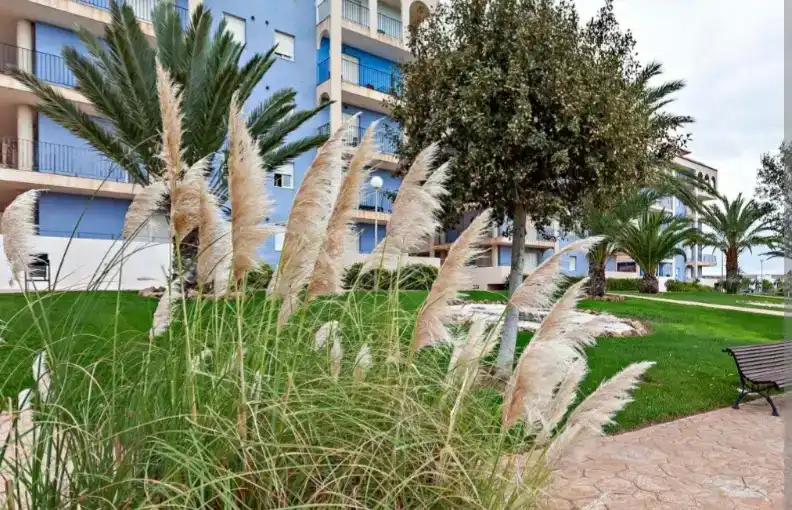 Vista exterior de Apartamento en venta en El Ejido con Aire acondicionado, Piscina y Balcón
