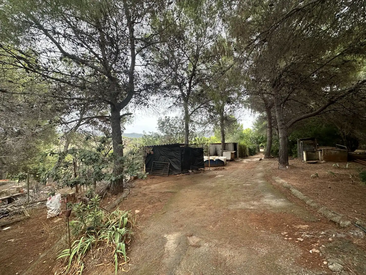 Xalet amb piscina en venda a Algar de Palància, imagen 9