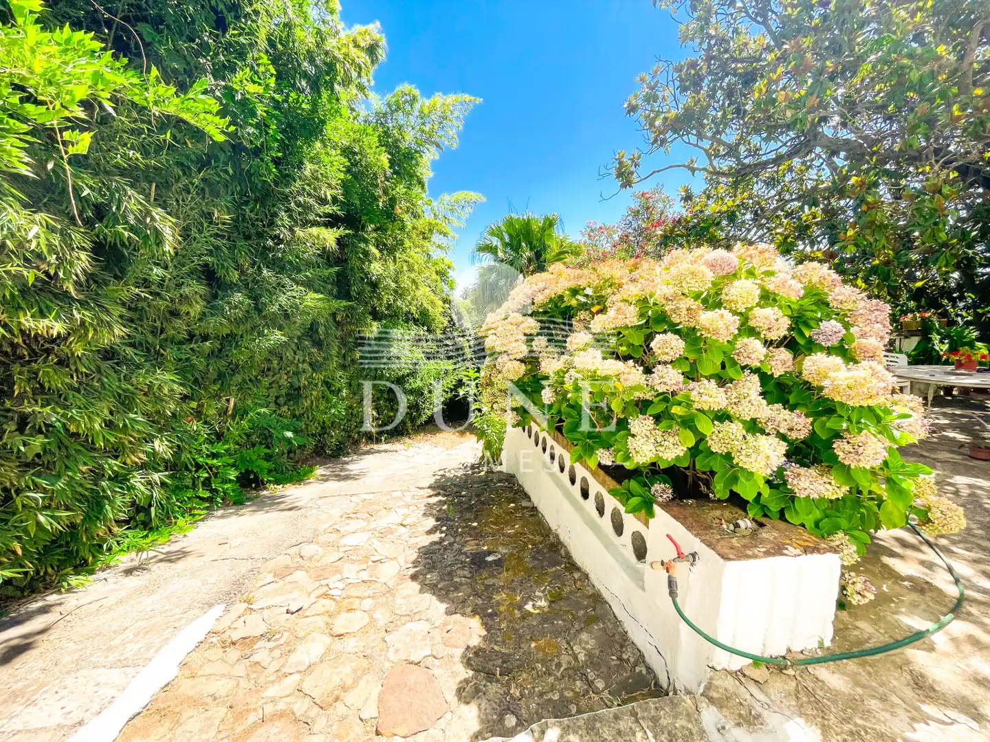 Garden of Country homes for sale in Algeciras  with Private garden, Terrace and Storage room