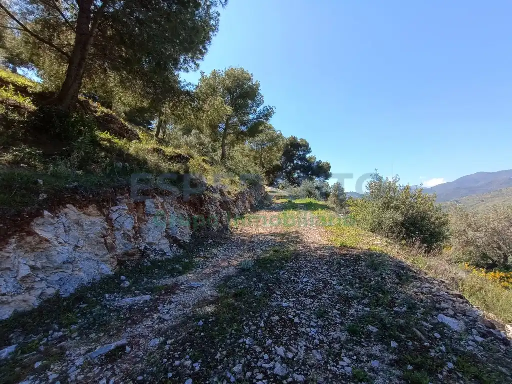 Terreno rustico in vendita a Diseminados Diseminados, imagen 15