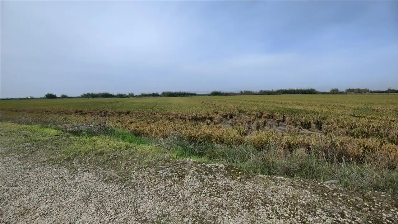 Rural land for sale in Polígono 8, 969, imagen 6