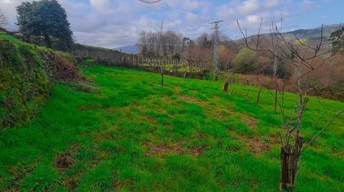 Foto 2 de Casa o chalet en venta en Lobeira, Ourense