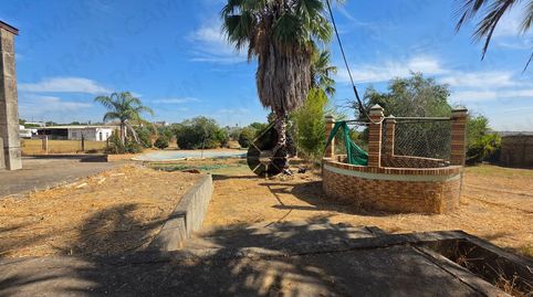 Foto 4 de Finca rústica en venda a Coria del Río, Sevilla