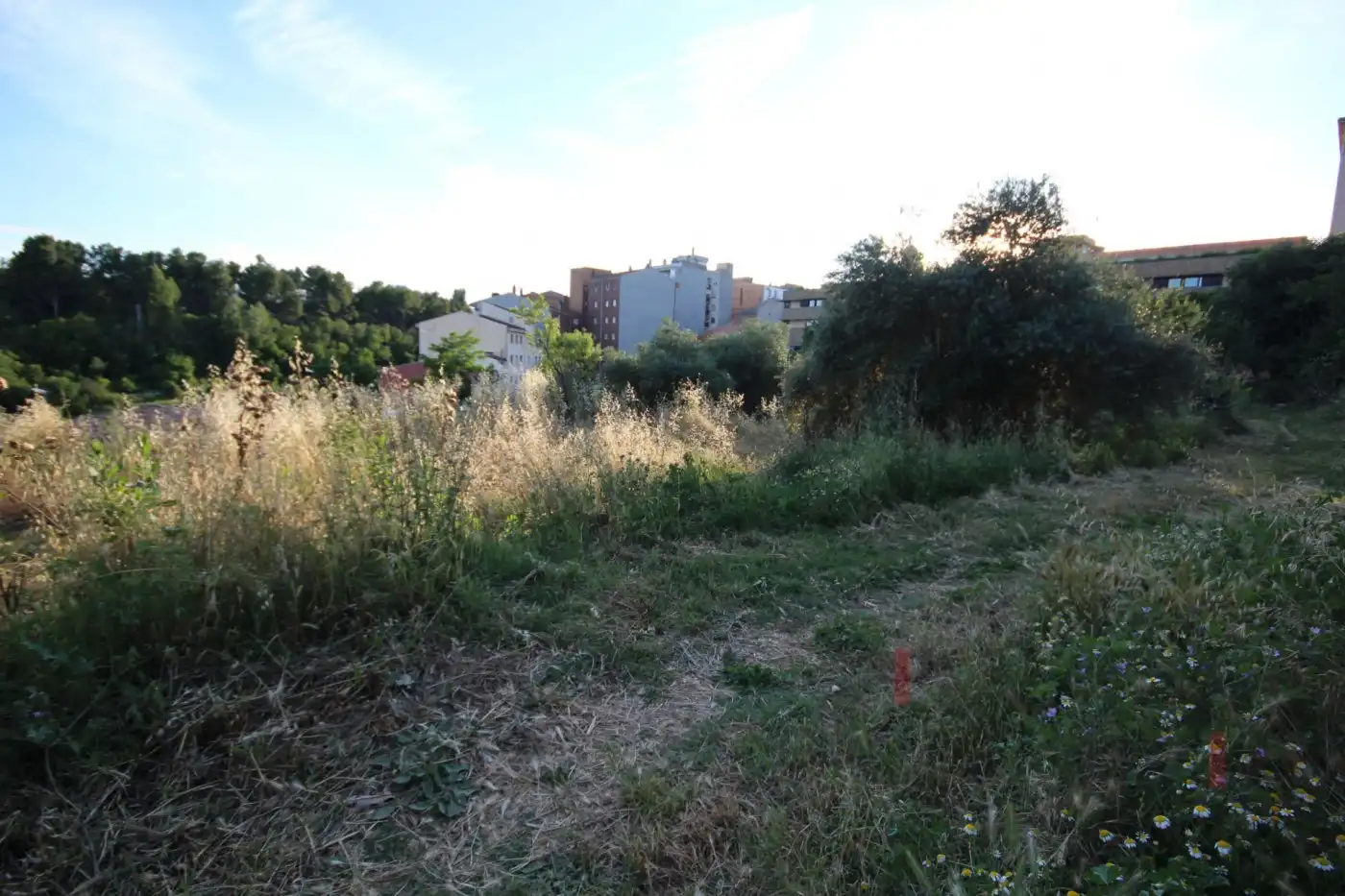 Wohnbaugrundstück zum Verkauf in Camino Fincas 9, imagen 9
