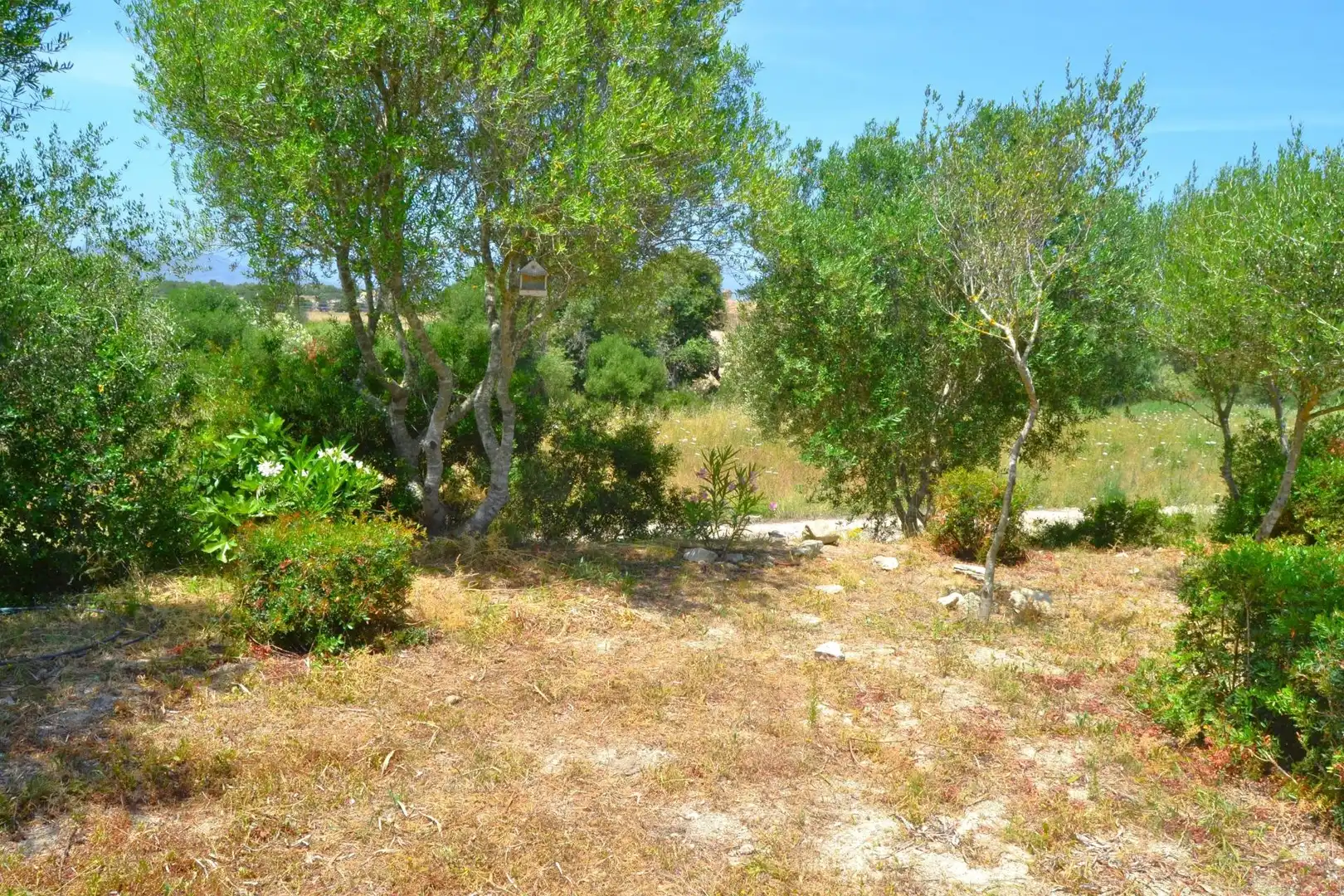 Country house zum Verkauf in Muro mit Klimaanlage, Heizung und Privatgarten
