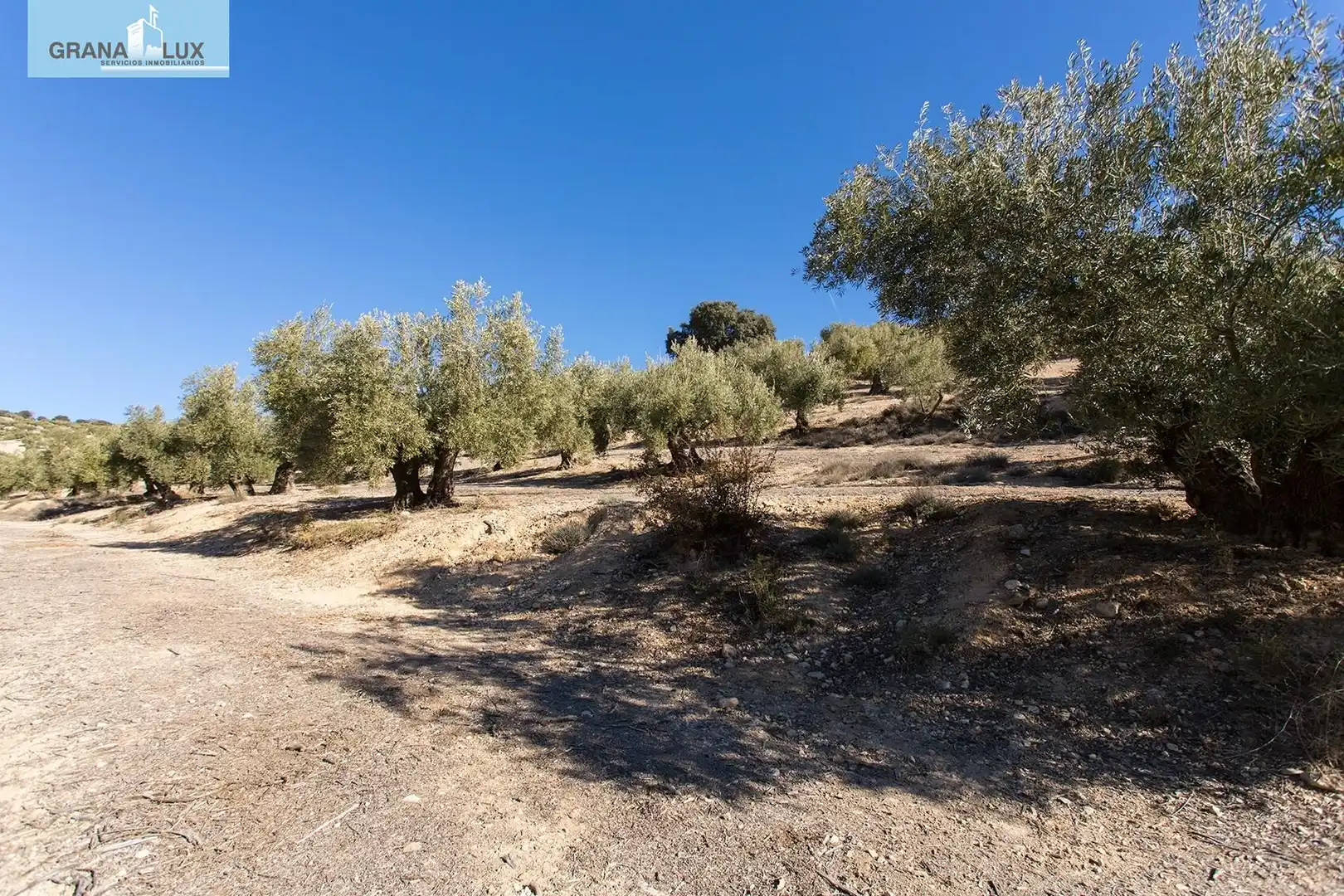 Land for sale in Campotéjar