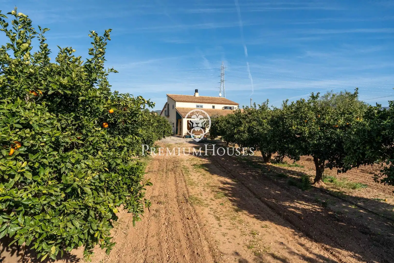 Landhaus mit Terrasse zum Verkauf in Roda de Barà, imagen 5