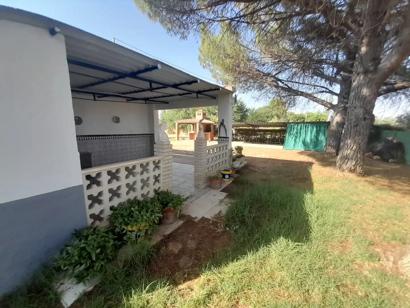 Jardí de Finca rústica en venda en Almodóvar del Campo amb Traster i Piscina