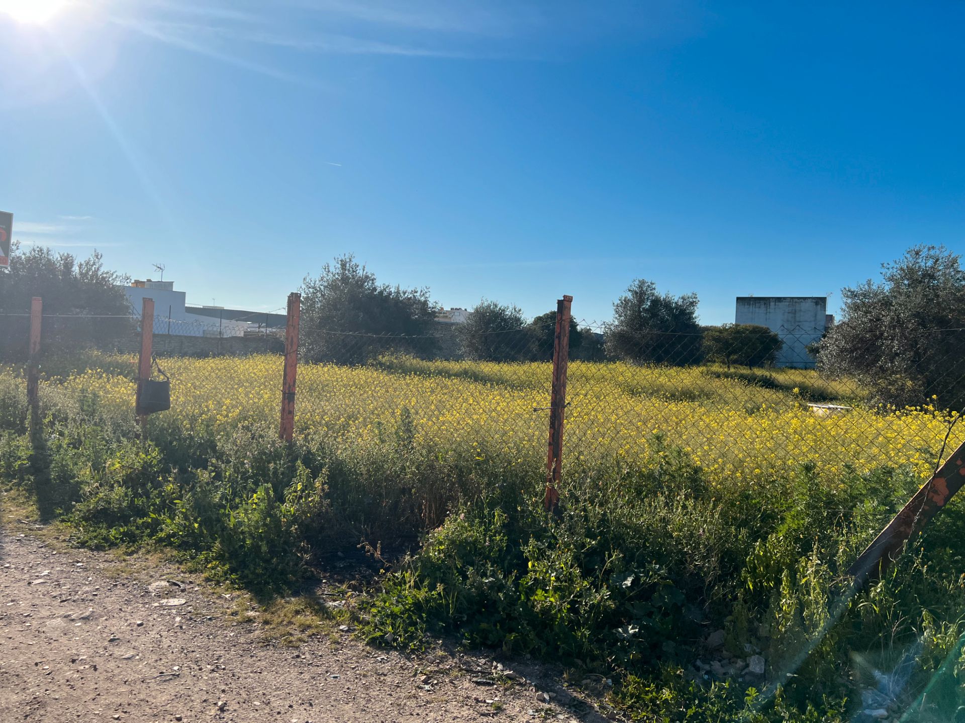 Land for sale in Dos Hermanas