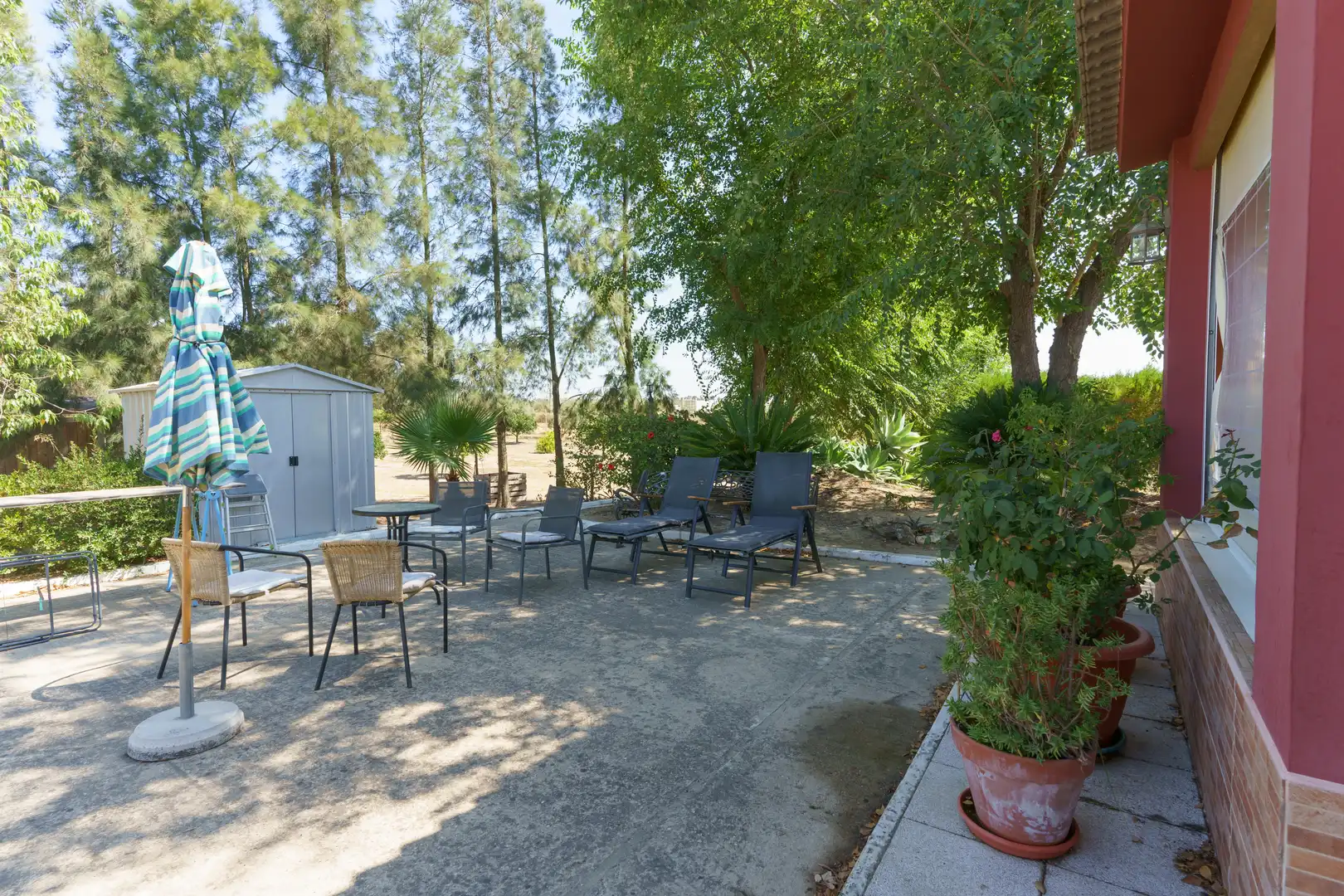 Terraza de Finca rústica en venta en La Palma del Condado con Jardín privado, Terraza y Piscina