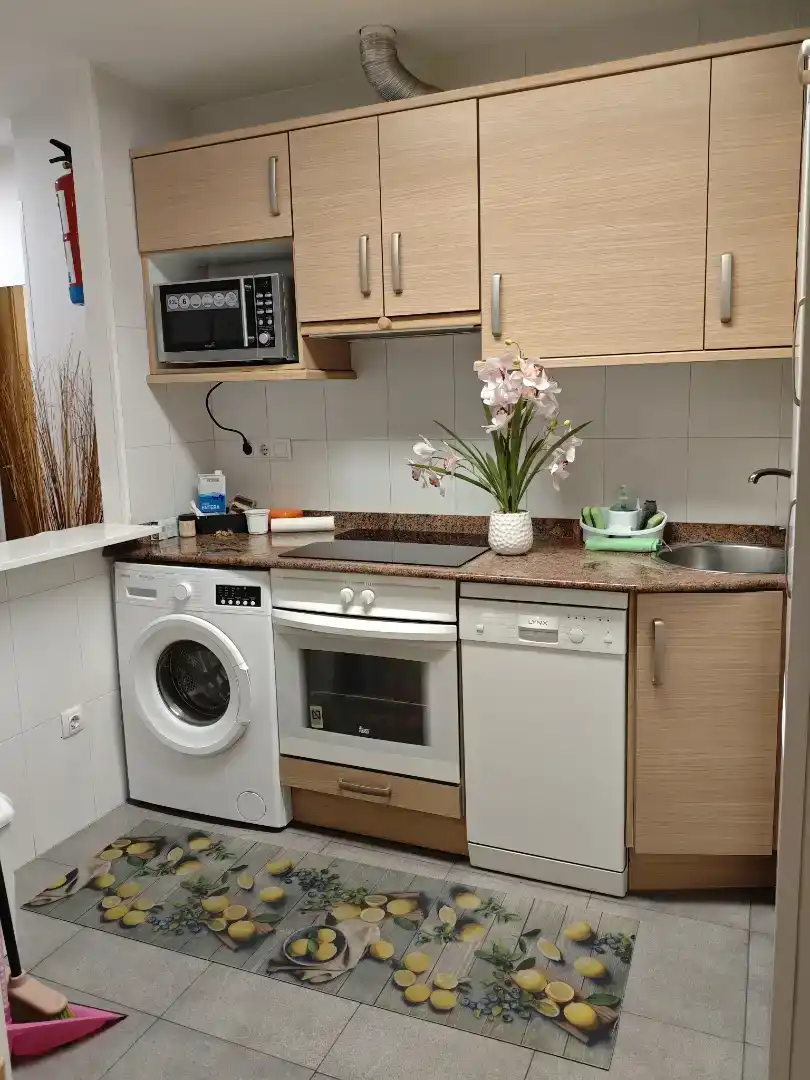 Kitchen of Flat for rent in Medio Cudeyo