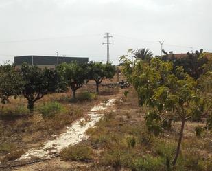 Planta baja for sale in Fuente Álamo de Murcia