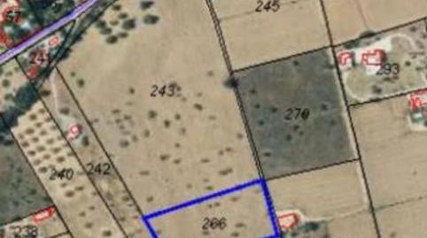 Photo 5 of Residential for sale in Cala Vedella - Cala Tarida, Illes Balears