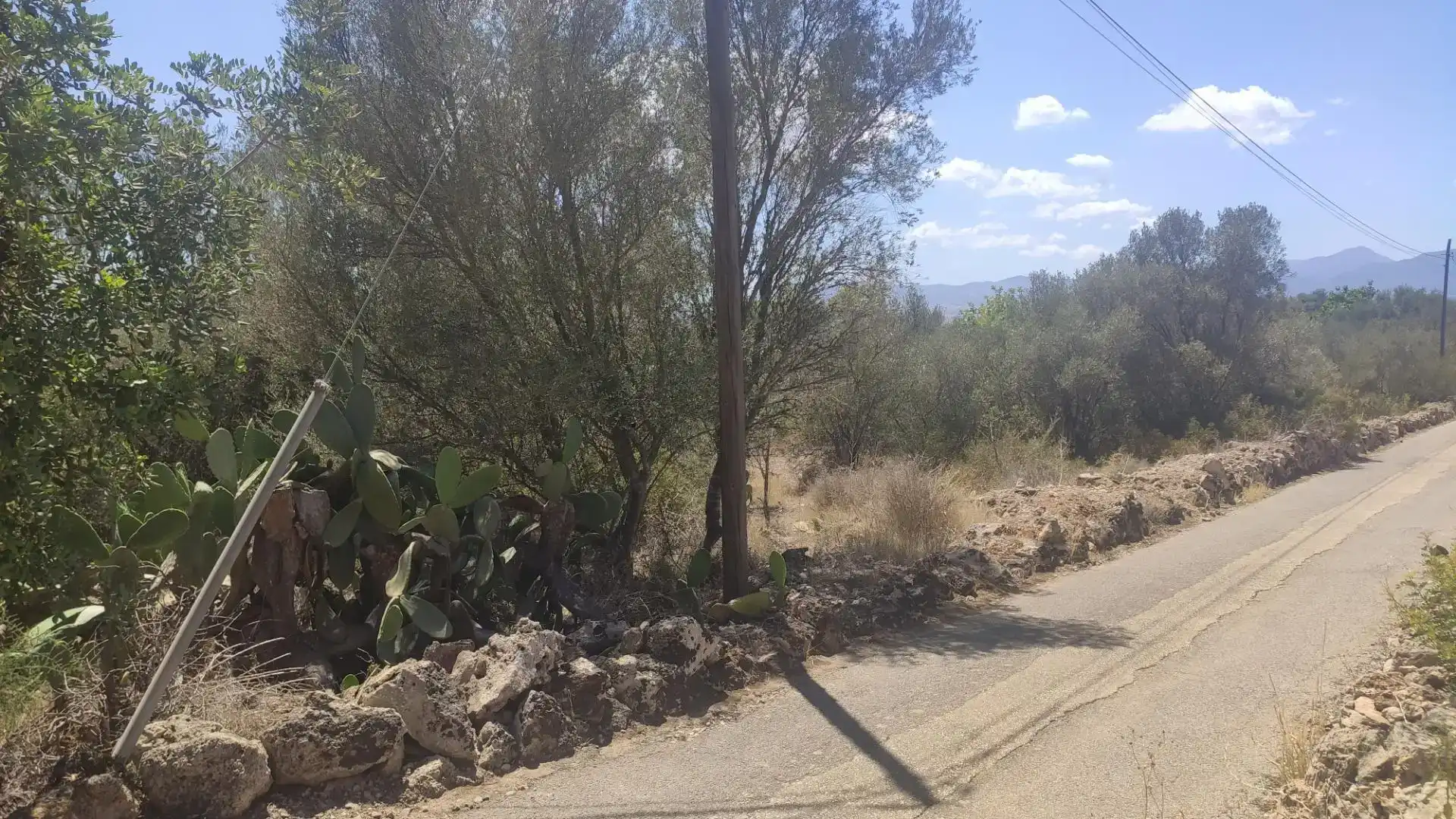 Terreny en venda en Marratxí