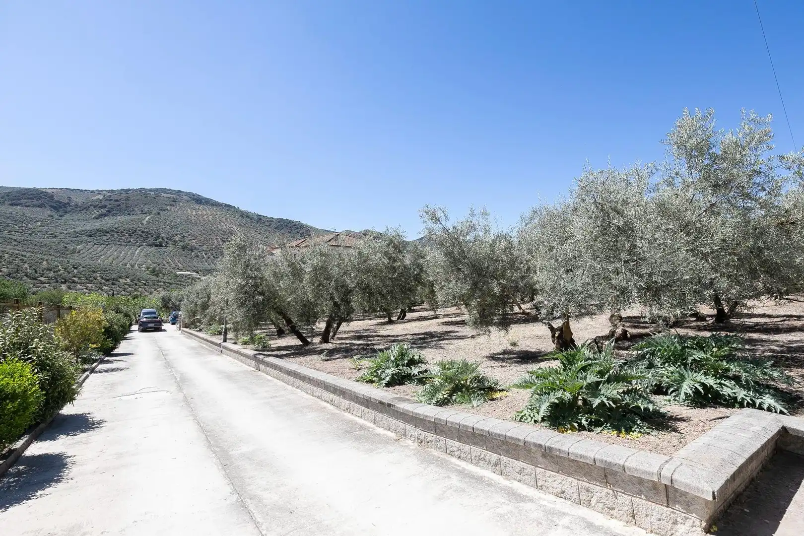 Vista exterior de Finca rústica en venta en Montefrío con Calefacción, Jardín privado y Terraza