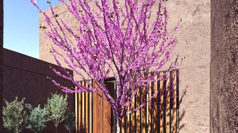 Foto 2 de Casa o xalet en venda a Carrer de Santa Victòria, 25, Sa Torre, Llucmajor