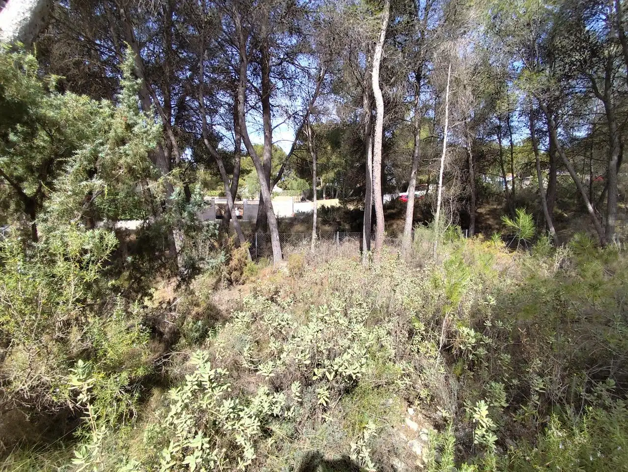 Terrenys i solars en venda a Tibi, imagen 2